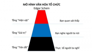 Môn FPT Way áp dụng mô hình văn hóa tổ chức của Edgar Schein để nghiên cứu văn hóa FPT