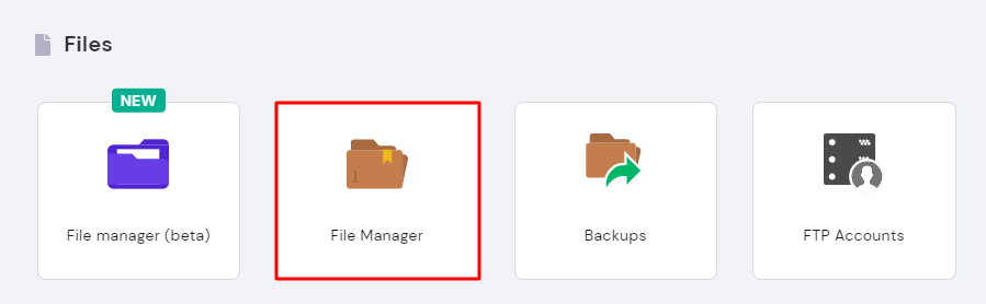 Click vào File Manager