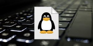 tạo file mới trong linux