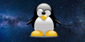 Làm thế nào mà một con chim cánh cụt lại trở thành linh vật chính thức của Linux?