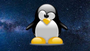 Làm thế nào mà một con chim cánh cụt lại trở thành linh vật chính thức của Linux?