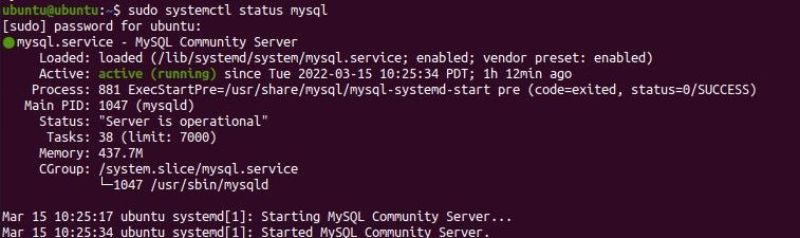 Bạn muốn thiết lập hệ thống quản lý cơ sở dữ liệu quan hệ của riêng mình trên Ubuntu? Cùng FUNiX tìm hiểu về cài đặt cơ sở dữ liệu MySQL trên máy chủ.