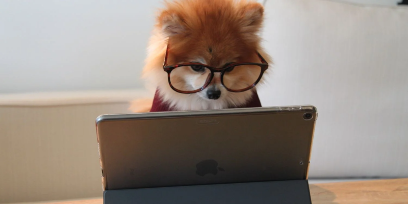 AnonymousFox là gì? Nó lây nhiễm các trang web như thế nào?