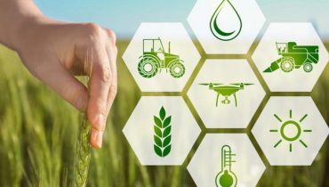 Ứng dụng của Blockchain trong lĩnh vực nông nghiệp