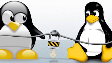 Một trong những cách quan trọng nhất để sử dụng Linux là thông qua SSH. Công cụ dòng lệnh truy cập từ xa này cho phép bạn thực hiện mọi tác vụ, từ cài đặt phần mềm đến cấu hình Linux làm máy chủ web. Nhưng làm thế nào để thiết lập SSH, ở cả phía máy khách và máy chủ? 