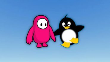 Tìm hiểu cách cài đặt Fall Guys từ Epic Games Store để tận hưởng trải nghiệm chơi game battle royale (chiến đấu sinh tồn) liền mạch trên desktop Linux của bạn.