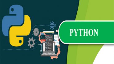 Ngôn ngữ lập trình Python được sử dụng nhiều trong lĩnh vực phát triển ứng dụng