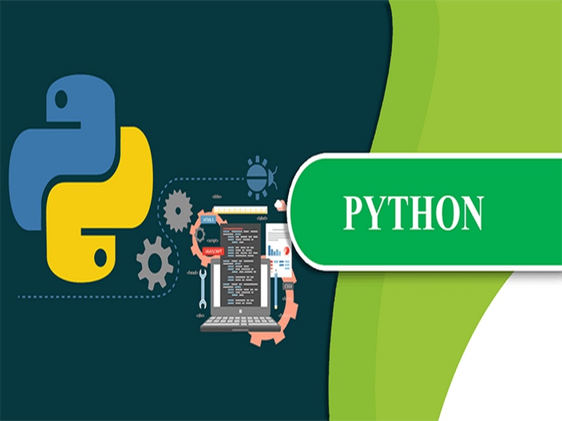 Ngôn ngữ lập trình Python được sử dụng nhiều trong lĩnh vực phát triển ứng dụng