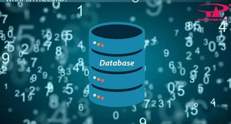 Bảng trong database là gì?
