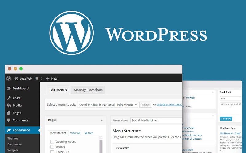 Các bước để xem lỗi WordPress chậm