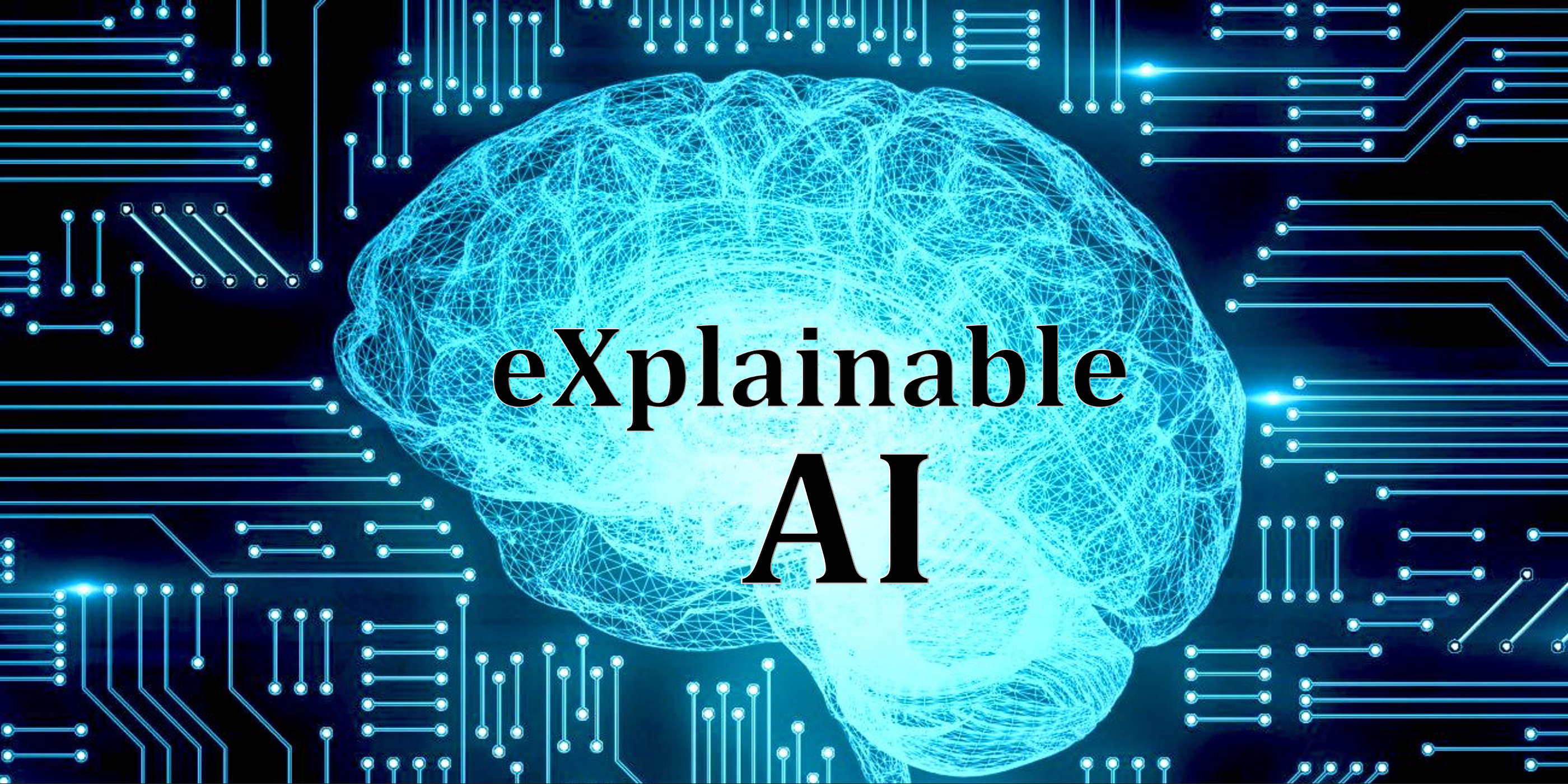 Explainable AI