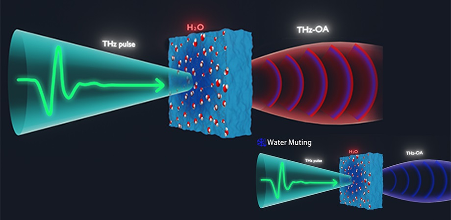 công nghệ terahertz