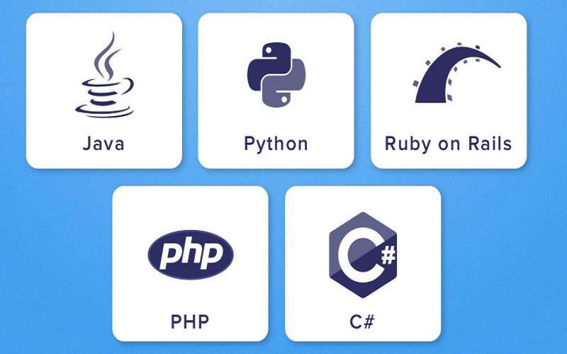 Học ngôn ngữ lập trình Backend (Nguồn: Internet)