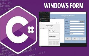 Windows Form là gì? Lập trình game Windows Form như thế nào?