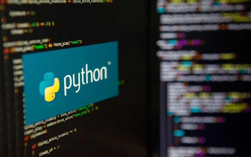 Học lập trình Python trở thành một kỹ năng quan trọng và hấp dẫn cho nhiều người (Nguồn ảnh: Internet)