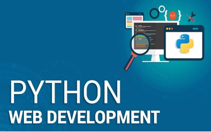 Hiểu và làm chủ Python trong việc phát triển ứng dụng web là lợi thế hiện nay (Nguồn ảnh: Internet)