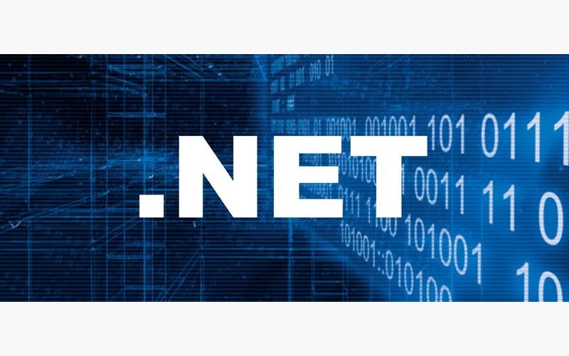 Nên học lập trình .net và java dành cho Newbie