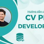 Tham khảo mẫu CV chất lượng và tầm quan trọng của CV