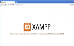 Làm thế nào để lập trình PHP với XAMPP (Nguồn ảnh: Internet)