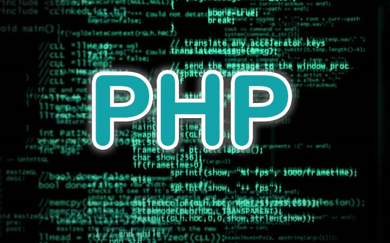 Ngôn ngữ PHP có tính linh hoạt cao (Nguồn ảnh: Internet)